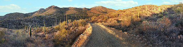 Panorama, Saguaro National Park