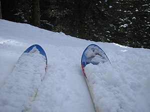 Skis (Photo credit: Wikipedia)