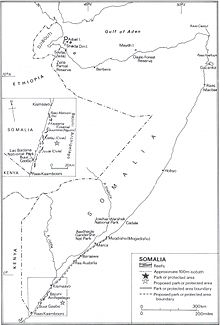 Somalia's coral reefs, ecological parks and protected areas Somcoralreef.jpg