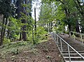 Stearns Canyon in Portland, Oregon's Washington Park