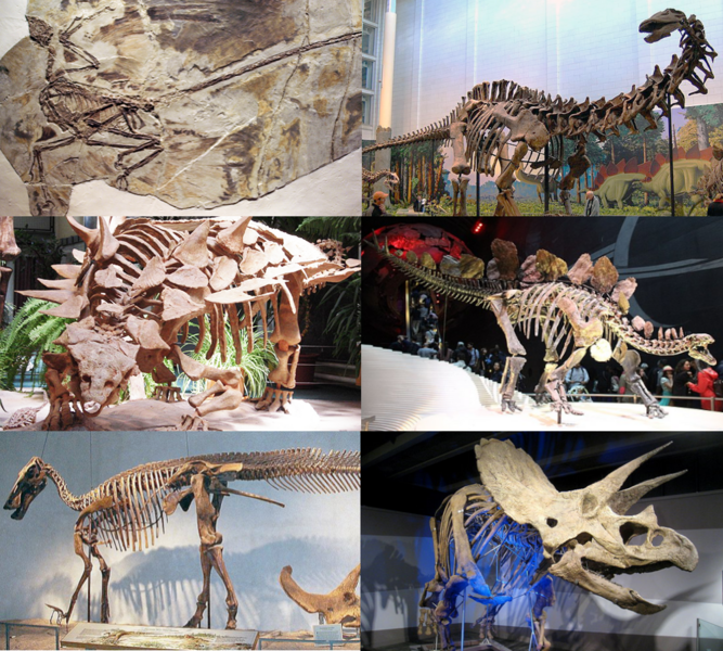 Berkas:Various dinosaurs2.png