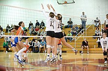 Stevens Institute of Technology's Women's Volleyball team in action during the fall 2011 season Womens Volleyball SIT.jpg