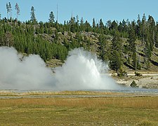 Oblong Geyser, Yellowstone National Park, WY