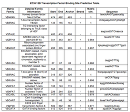 Transcription factor binding site predictions in the promoter of ZC3H12B.