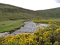 Abhainn Srath na Seilge or Black Water The river has now changed its name on the 1:25,000 map to Black Water. The river drains a large area of Ben Armine Forest and there is only one bridge upstream of here.