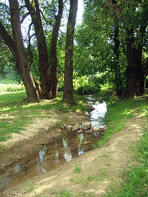 Alytupis prieš santaką su Nemunu