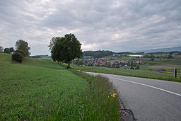 Bibern i kommunen Buchegg