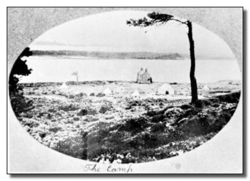Brownsea Island 1907