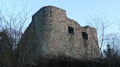 Ruïne Burg Neuenfels (uitzichtpunt)