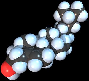 Spacefill model of the Cholesterol molecule