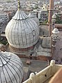 Laukkuplar på Fredagsmoskeen (Jama Masjid) i Delhi