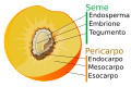 Miniadura de la version de le 18:08, 9 mar 2013