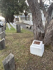 Eastbourne ANZAC memorial baring a pohutukawa and a plaque with white crosses behind