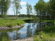 Slingrande å vid Gillbo