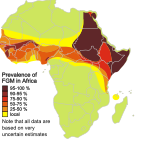 Map showing the prevalence of FGM in Africa Fgm map.svg