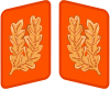 Gauleiter collar tabs.svg