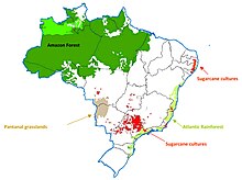 Location of environmentally valuable areas with respect to sugarcane plantations. Sao Paulo, located in the Southeast Region of Brazil, concentrates two-thirds of sugarcane cultures. Goldemberg 2008 Brazil sugarcane regions 1754-6834-1-6-1 Fig 1.jpg
