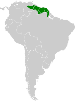 Distribución geográfica del tiluchí colipunteado.