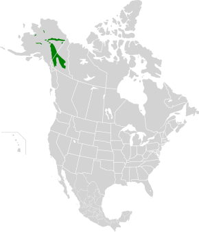 Description de l'image Interior Yukon-Alaska alpine tundra map.svg.