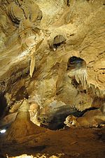 Miniatura pro Koněpruské jeskyně