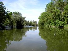 La rivière Vendée coule et traverse le village pour aller se jeter dans le fleuve Sèvre Niortaise au lieu dit "Le Gouffre' ouvrage hydraulique XVIIe