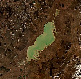 Sentinel-2 image of Lake Kushmurun in 2020.