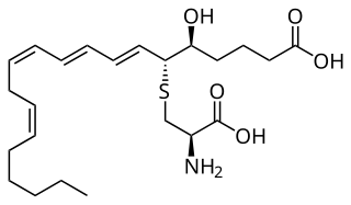 Leukotriene E4