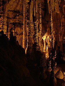 נטיפים ועמודים במערות נצ'ורל ברידג' (Natural Bridge Caverns), טקסס בארצות הברית