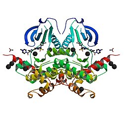 PBB Protein STK10 image.jpg