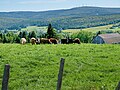 Vignette pour Beauce (Québec)