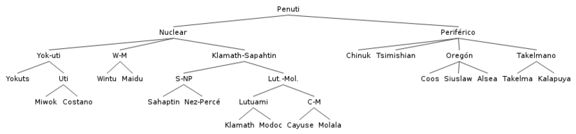 Possible arbre de relació entre les llengües penutianes
