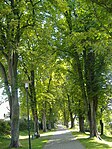 Promenade, die „grüne Lunge“ der Stadt[28]