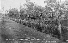 Impact of rabbit-proof fence, Cobar, New South Wales, 1905 Rabbit fence Cobar October 1905.jpg