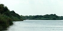 Rio Grande southeast of Falcon Reservoir, Municipality of Mier, Tamaulipas, Mexico (12 August 2007)