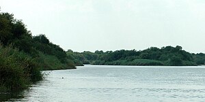 Rio Grande ca. 3 miles southeast of Falcon Reservoir, Municipality of Mier, Tamaulipas, Mexico (August 2007)