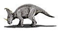 Sinoceratops