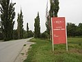 Drvored jablanova uz cestu L44007 na ulazu u Širine - tabla za Belje: PC Ratarstvo, PJ Kneževo - Širine