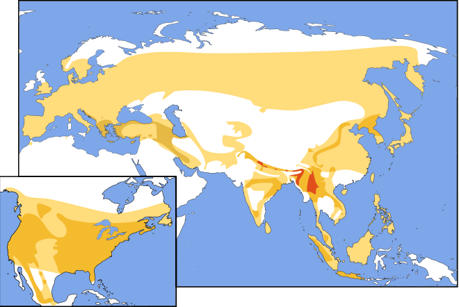 Cartes de l'Eurasie et de l'Amérique du Nord montrant la répartition décrite dans le texte ci-contre.