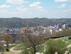 A view of Charleston from Spring Hill Cemetery