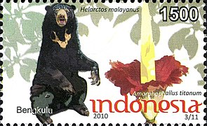 Indonesiyaning 2010-yilda chiqarilgan markasi