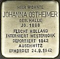 Stolperstein für Johanna Oppenheimer (Teutoburgerstraße 27)