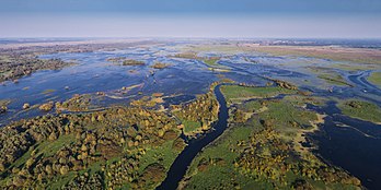 Vista aérea do parque nacional de Ujście Warty perto de Kostrzyn nad Odrą, Polônia (definição 5 644 × 2 822)