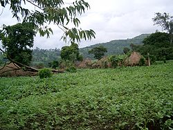 Villaggio nella parte est di Oromia (ex provincia di Walega).