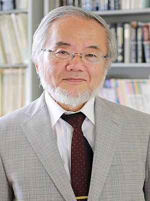 Yoshinori Osumi 201511.jpg