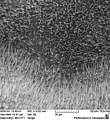 Elektronmikroskoobi kujutis ZnO nanotraatidest vase pinnal