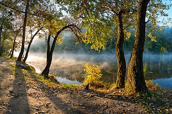 Parque nacional, Ucrânia. (definição 1 280 × 853)