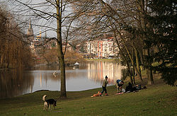 Stagno a Ixelles