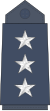 08.YAF-CAPT.svg