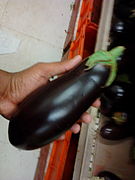 Eggplant is popular in cuisines all around the world. These are Indian eggplants.