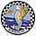 Знак отличия Attack Squadron 55 (ВМС США) .jpg